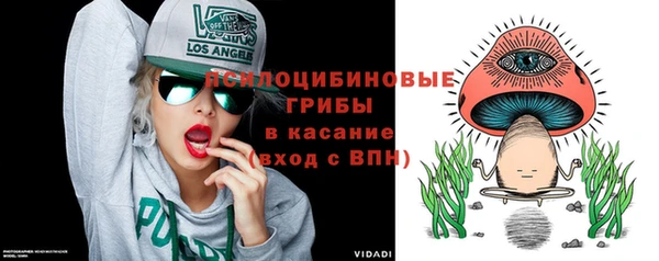 дмт Бородино