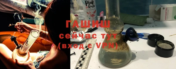 дмт Бородино