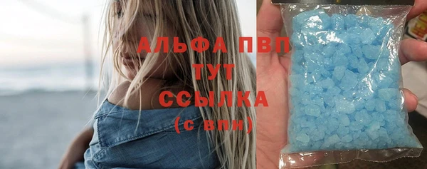 дмт Бородино