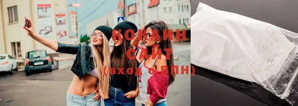 дмт Бородино