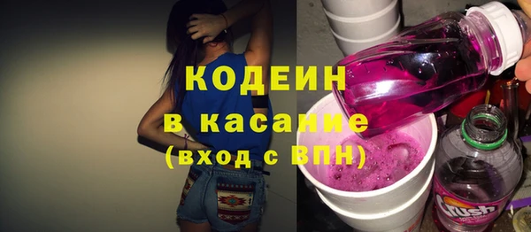 дмт Бородино