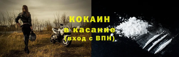 дмт Бородино