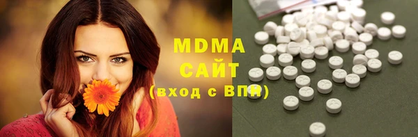 дмт Бородино
