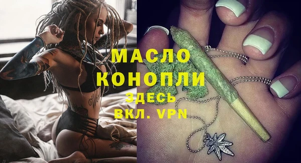 дмт Бородино