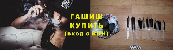 дмт Бородино