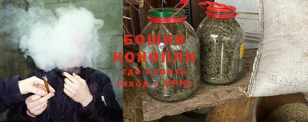 дмт Бородино