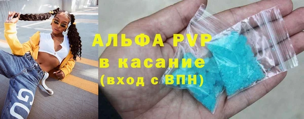 дмт Бородино