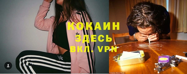 дмт Бородино