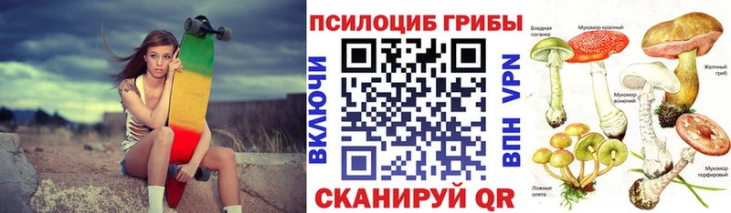 наркошоп  Котельнич  Галлюциногенные грибы Magic Shrooms 