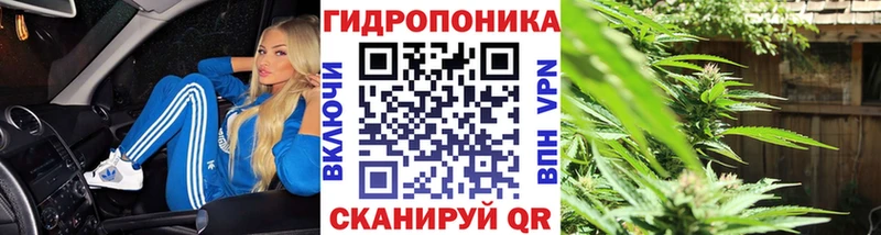 Канабис Bruce Banner  ссылка на мегу ТОР  Котельнич  купить наркотик 